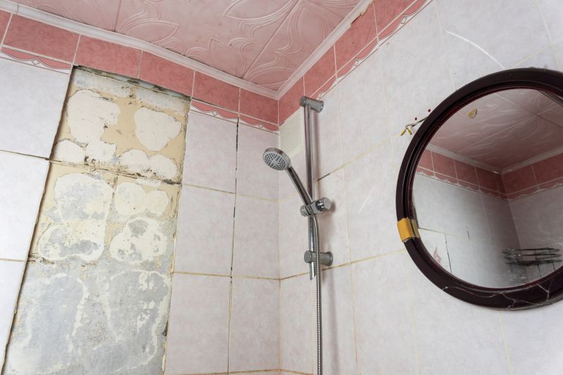 Shower Tile Cleaning