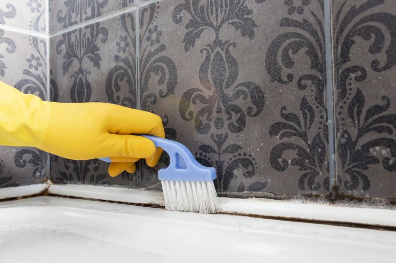 Mold and Mildew Removal