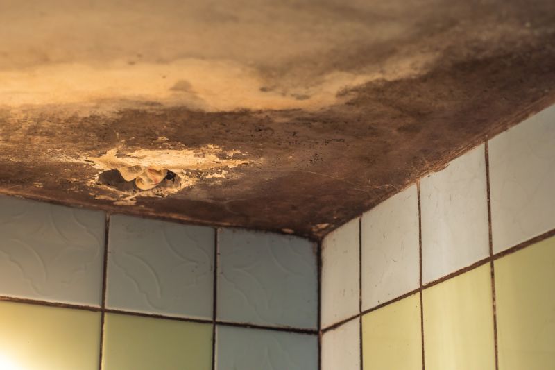 Mold Growth on Shower Tiles